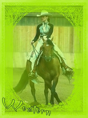 western heria.pise.cz