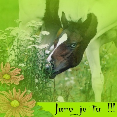 jaro je tu !